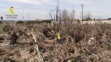 Encuentran un cuerpo sin vida en Paiporta