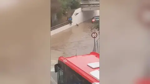 Rescate en Altea Rescate en Altea