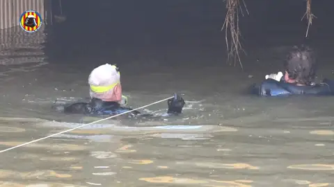 Buzos Bonaire Buzos Bonaire