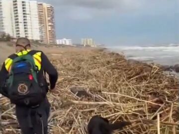 Efectivos de la Guardia Civil reconocen la zona siniestrada por la DANA