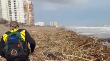 Efectivos de la Guardia Civil reconocen la zona siniestrada por la DANA