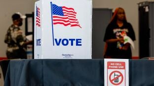 Imagen de un puesto de votaci&oacute;n anticipada en Fulton County's, en Atlanta