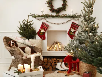 Decoración navideña Decoración navideña