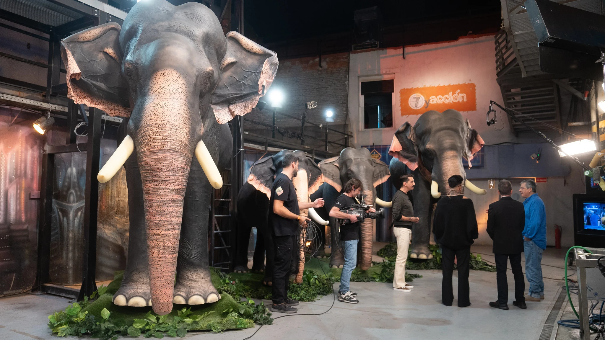 &iexcl;Incre&iacute;ble! Marron nos ense&ntilde;a el futuro de los circos con animales