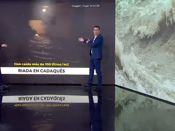 César Gonzalo César Gonzalo