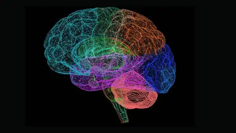 Imagen de un cerebro Imagen de un cerebro