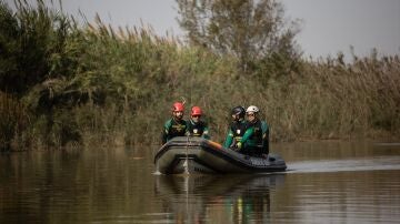 Efectivos de la Guardia Civil en l'Abufera de Valencia