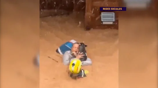 Mascotas Mascotas