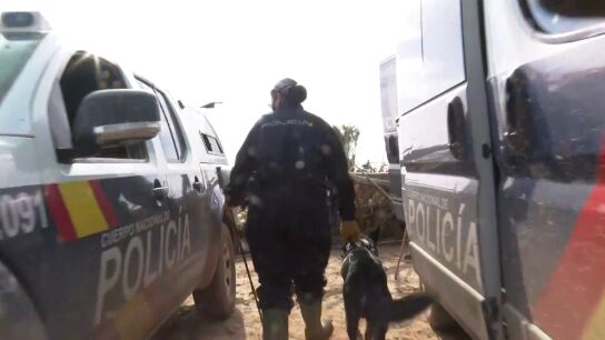 Perros