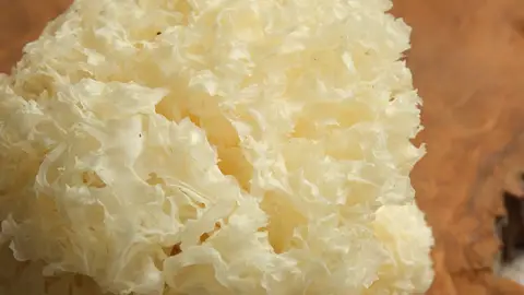 Tremella u hongo de la nieve Tremella u hongo de la nieve