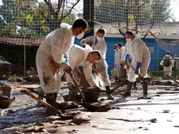 Voluntarios trabajan en las labores de retirada de lodo en el polideportivo de Masanasa