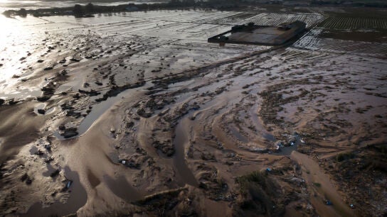 La zona de la Albufera.