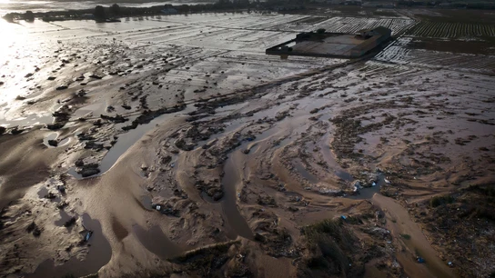 La zona de la Albufera. La zona de la Albufera.