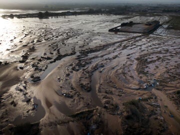 La zona de la Albufera.
