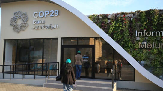Conferencia de las Naciones Unidas sobre el Cambio Clim&aacute;tico (COP29)