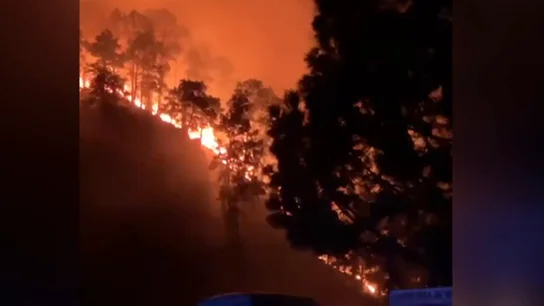 Incendio La Palma Incendio La Palma