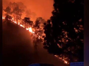 Incendio La Palma