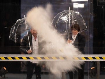 &iexcl;Experimento explosivo! Marron pone a prueba la fuerza de la fruta ante la at&oacute;nita mirada de Silvia Abril