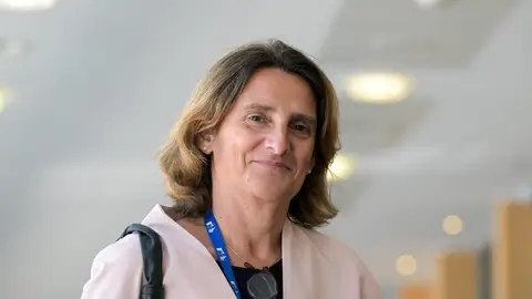 Tres hora de examen a Teresa Ribera Tres hora de examen a Teresa Ribera