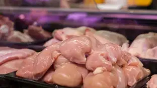 Filetes de pollo Filetes de pollo