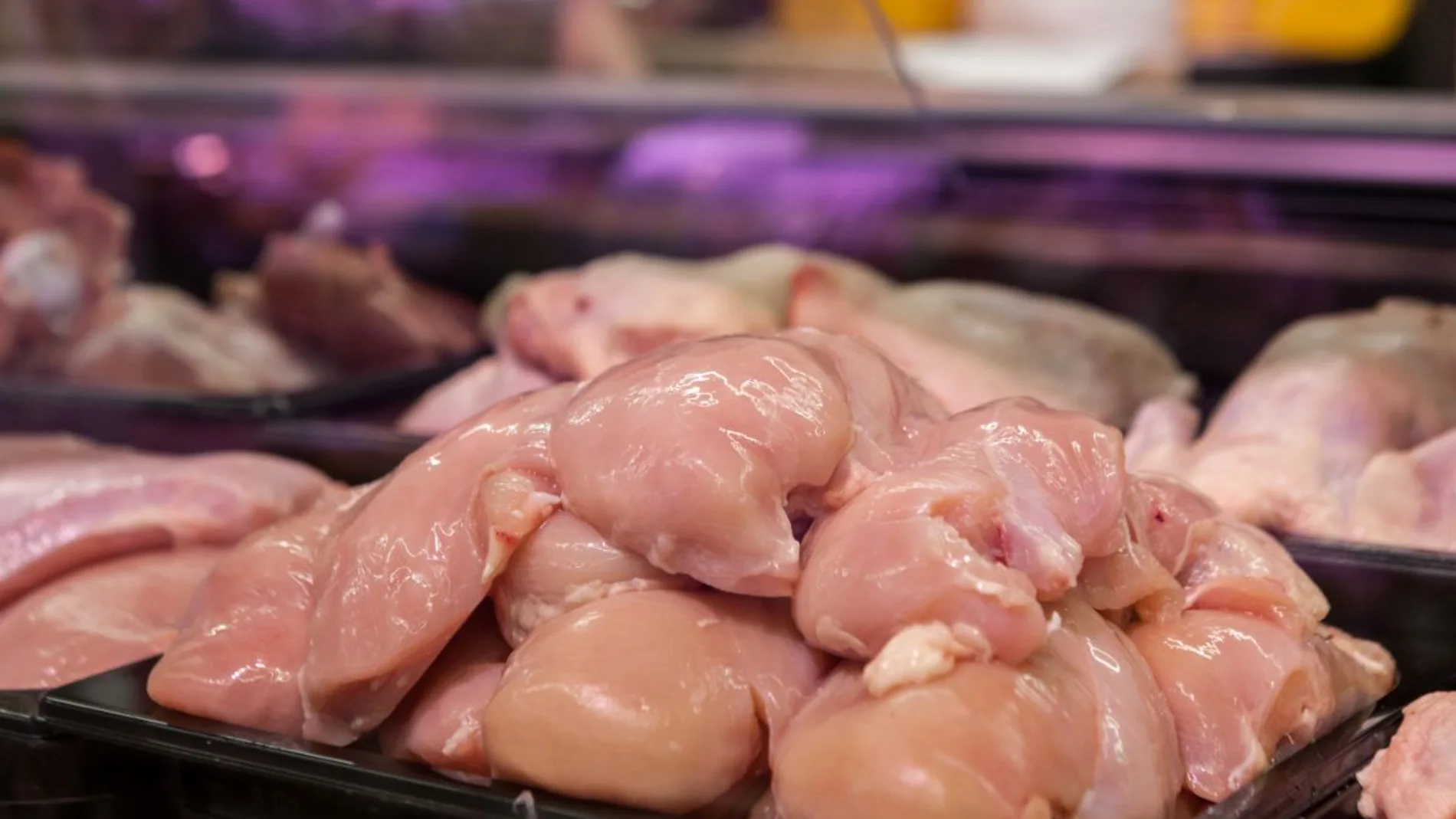 Filetes de pollo Filetes de pollo