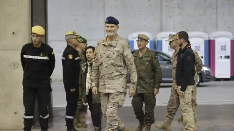 La segunda visita del rey Felipe VI a Valencia La segunda visita del rey Felipe VI a Valencia
