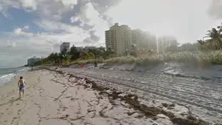 Key Biscayne (Miami Beach) Key Biscayne (Miami Beach)