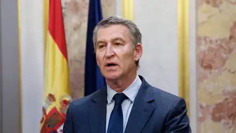 El líder del PP, Alberto Núñez Feijóo El líder del PP, Alberto Núñez Feijóo