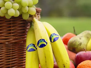 La calidad y sostenibilidad de las frutas y hortalizas de proximidad La calidad y sostenibilidad de las frutas y hortalizas de proximidad