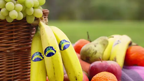 La calidad y sostenibilidad de las frutas y hortalizas de proximidad La calidad y sostenibilidad de las frutas y hortalizas de proximidad