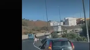 Una joven persiguiendo a un pato Una joven persiguiendo a un pato