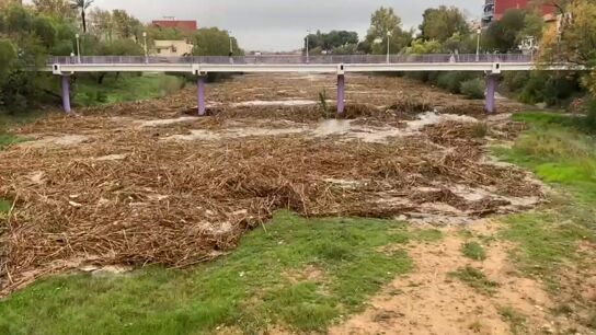 Ca&ntilde;as vegetales