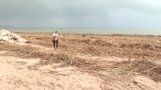 Especialistas y Ecologistas piden la extracción de cañas invasoras Especialistas y Ecologistas piden la extracción de cañas invasoras