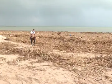 Especialistas y Ecologistas piden la extracción de cañas invasoras Especialistas y Ecologistas piden la extracción de cañas invasoras
