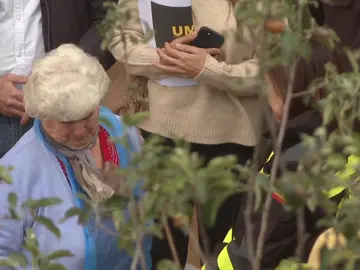 Cheste DANA Cheste DANA