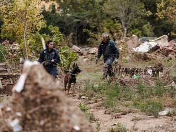 Agentes de la Policía participan en la búsqueda de víctimas en Sedaví