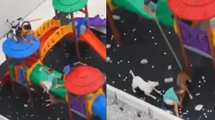 Ataque delpitbull a un niño en un parque infantil Ataque delpitbull a un niño en un parque infantil