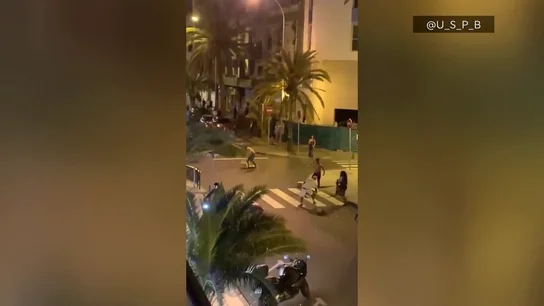 Pelea Pelea
