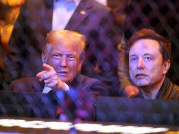 Trump, con Elon Musk en la UFC