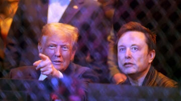 Trump, con Elon Musk en la UFC