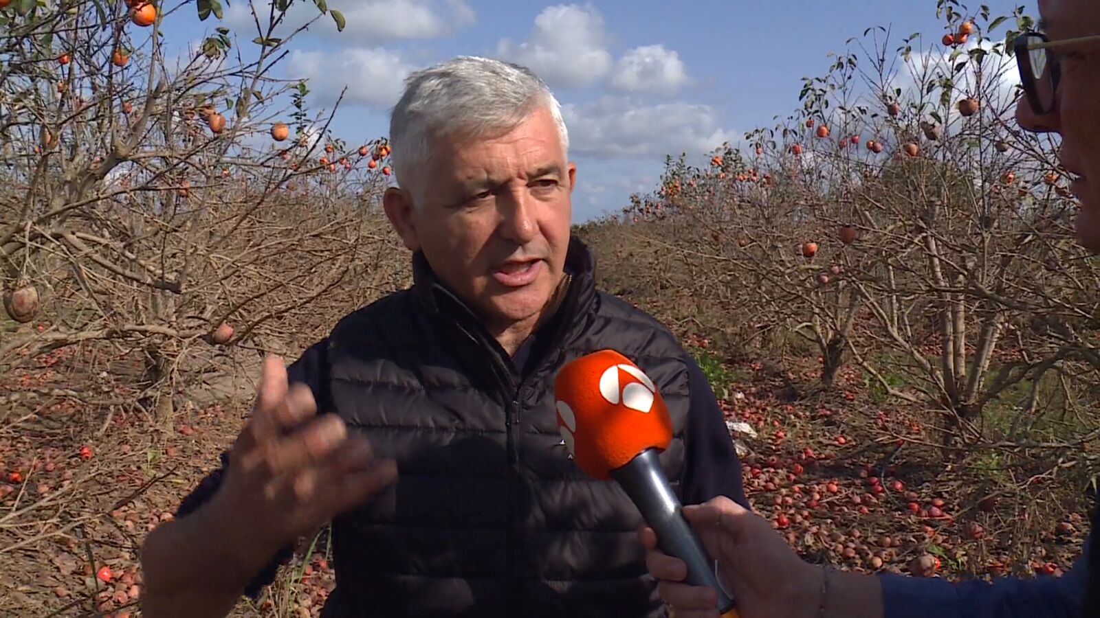 Miles de agricultores han perdido sus campos de cultivo y sus cosechas: 