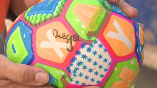 Pelota de Diego Pelota de Diego