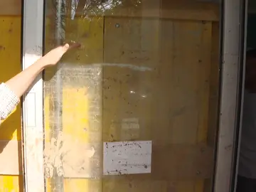 Consecuencias en Málaga Consecuencias en Málaga