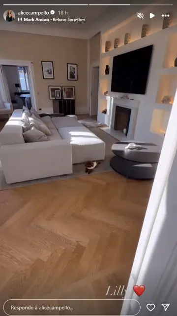 Story de Alice Campello Story de Alice Campello