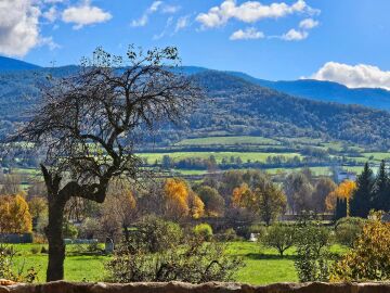 Oto&ntilde;o