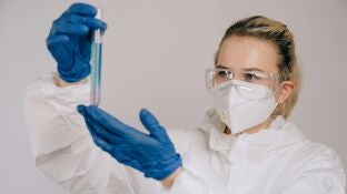 Investigaci&oacute;n