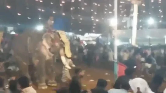 edhed edhed