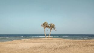 Imagen de archivo de Marsa Alam, Egipto
