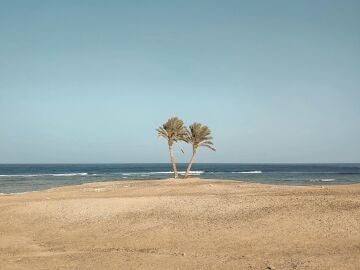 Imagen de archivo de Marsa Alam, Egipto