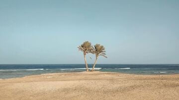 Imagen de archivo de Marsa Alam, Egipto